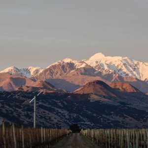 5 Reasons we love Marlborough Gallery5