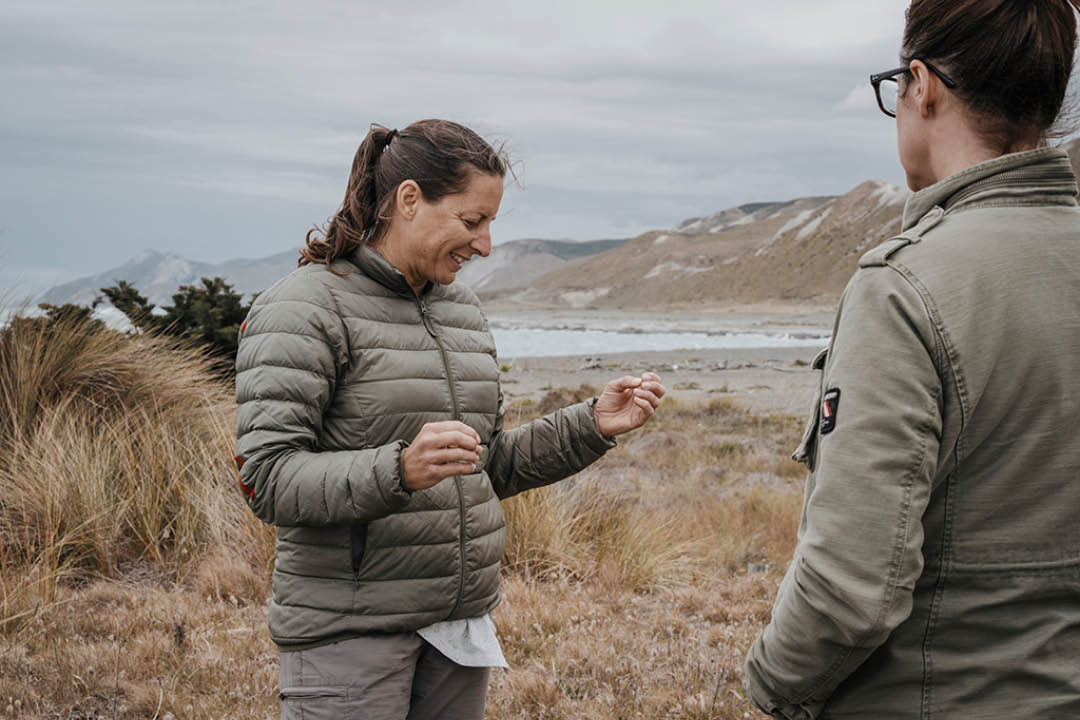 How to protect New Zealand Coastlines - Seabird monitoring and protection near Cape Campbell